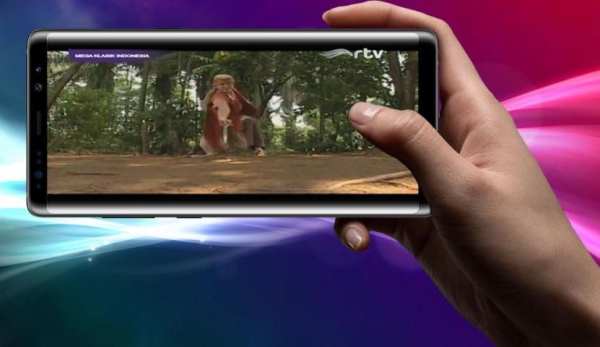 TV Channel Indonesia स्क्रीनशॉट 1