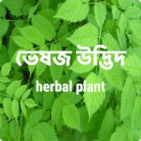 ভেষজ উদ্ভিদ - ayurvedic Herbal plant