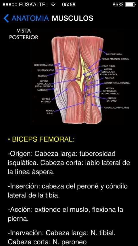 Rodilla Ap स्क्रीनशॉट 6