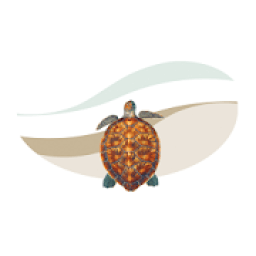 Snook and Associates icon