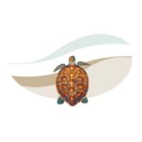 Snook and Associates on 9Apps