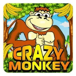 Monkey cash story icon