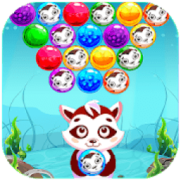 Cat Bubbles Crush आइकन