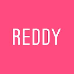 레디 - REDDY