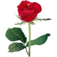 Lalgolap Express Plus