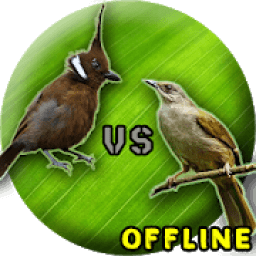 Cililin Dan Kapas Tembak MP3 icon