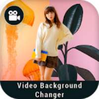 Video Background Changer