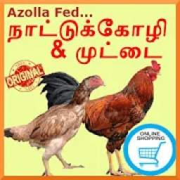 நாட்டு கோழி