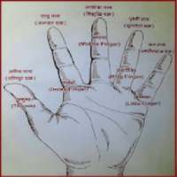 Yog Mudra Acupressure All Points [ज्ञान मुद्रा]