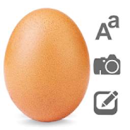 World Record Egg Photo