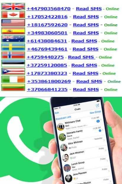 What Numbers Girl screenshot 1