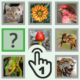 One-Tap Memory Game आइकन