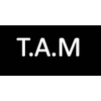T.A.M(The Automated Messaging App)