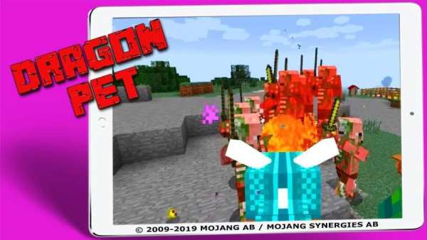 Mod Dragons Pets screenshot 2