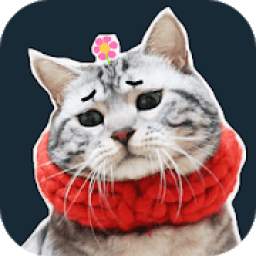 Cat Emoji Stickers For Whatsapp(WAStickerApps)
