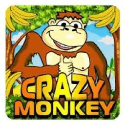 Crazy Monkey Delux