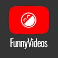 Funny Videos