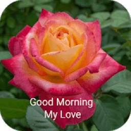 Sweet Love Good Morning Images