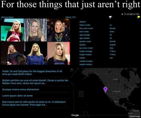 Liar Racist Cheater & misc. nuisance database screenshot 5