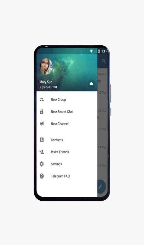Tele Pro Messenger screenshot 6