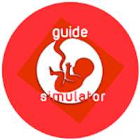 Guide for Bit Life tips simulator