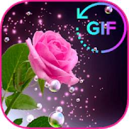 Romantic Flowers Images GiFt *❤‎