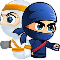 Ninja adventure story