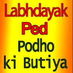 Labhdayak Ped Poudhe लाभदायक पेड़ पौधे