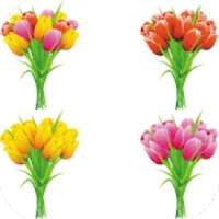 Wastickersapp - Rose sticker for whatsapp on 9Apps