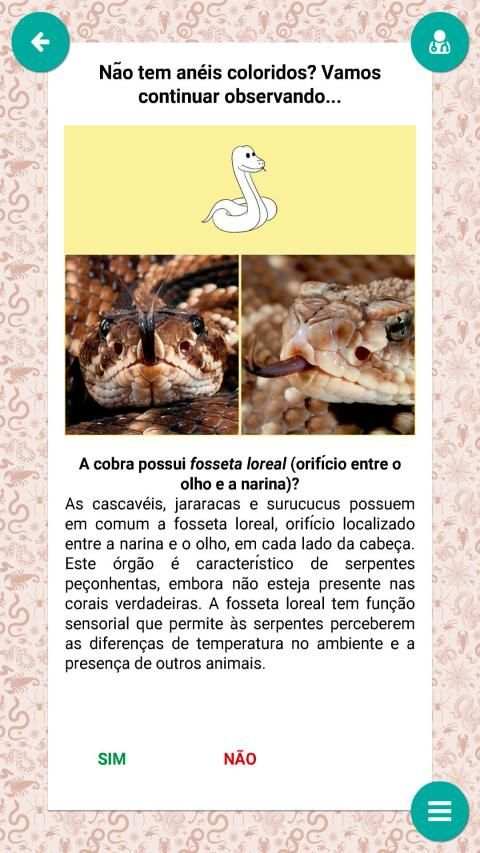 Serpentes de Minas Gerais screenshot 3