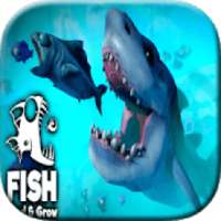 Feed and grow fish : Hints