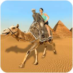 Camel Taxi: City & Desert Transport