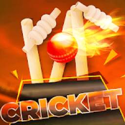 Indian Cricket League 2019: World Premier Cup
