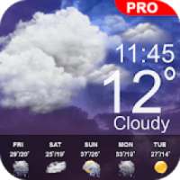 Weather Forecast Pro Weather Channel Weather Map on 9Apps