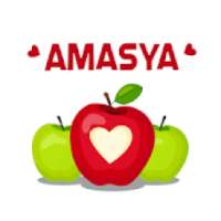 Amasya Rehberi on 9Apps