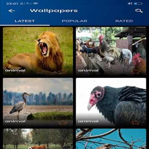 animals Wallpapers स्क्रीनशॉट 2