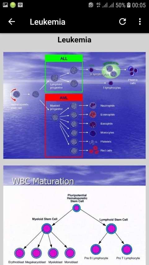 Basic Hematology screenshot 6