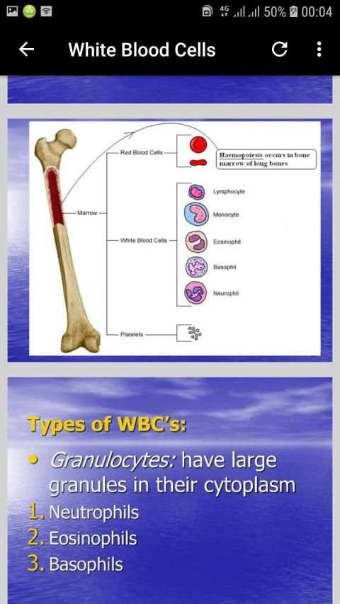 Basic Hematology screenshot 10