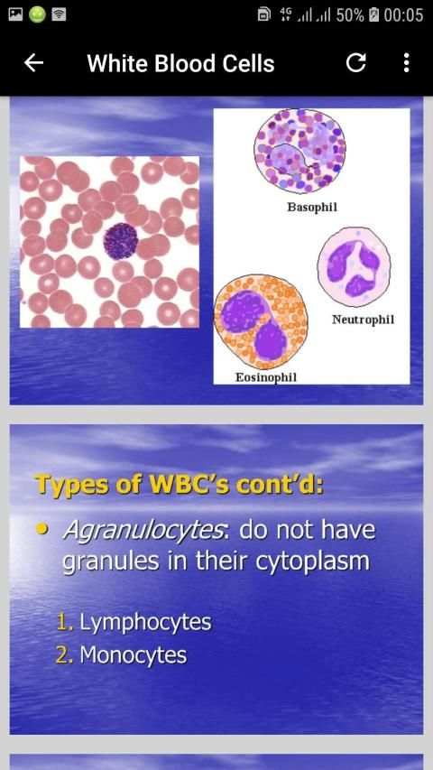 Basic Hematology screenshot 8