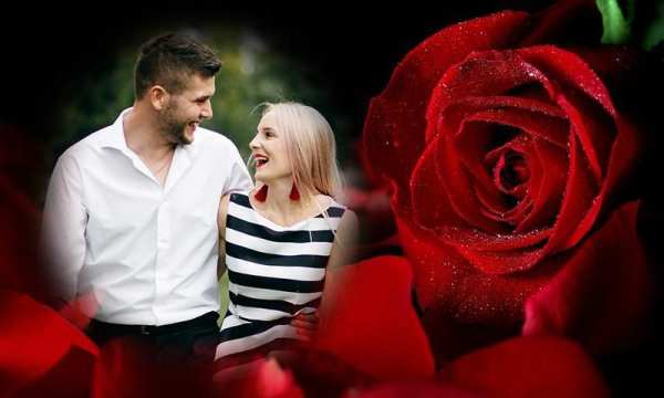 Rose Photo Frames screenshot 3