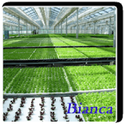 ikon hydroponic system