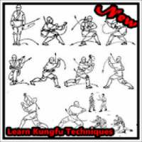 Learn Kung Fu Techniques