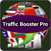Website Traffic Booster Pro