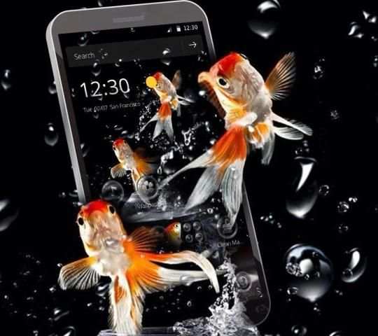 Goldfish Water Drops Theme screenshot 4