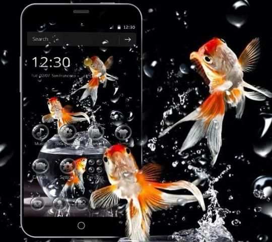 Goldfish Water Drops Theme screenshot 2