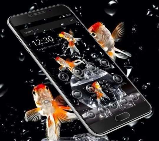 Goldfish Water Drops Theme screenshot 3