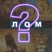 4 сурт 1 дош on 9Apps