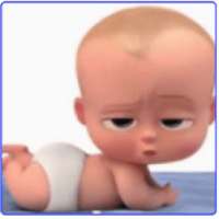 Collections Madlipz~Videos Funny 2019