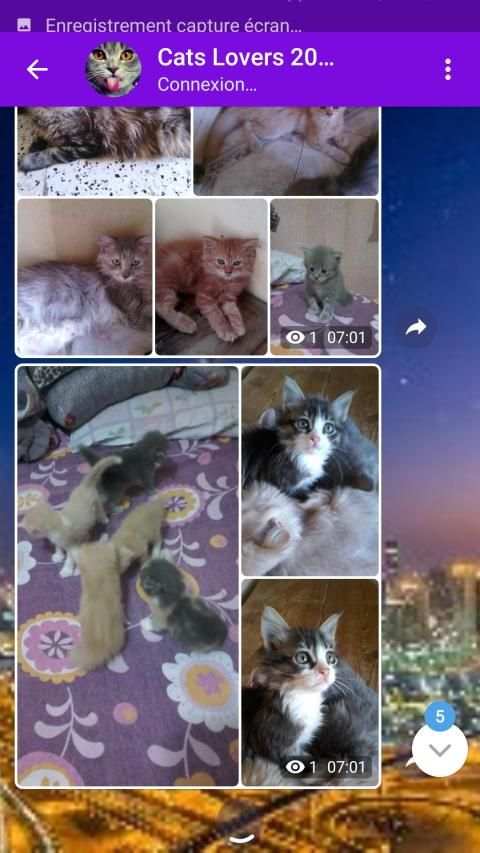 Dubai Talk Messenger screenshot 2