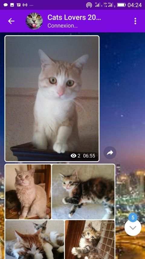 Dubai Talk Messenger screenshot 3